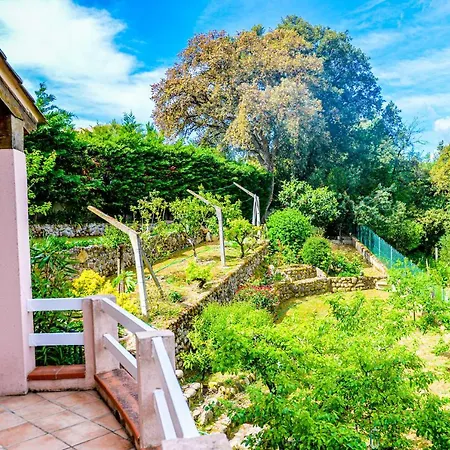 Josie - Bas De Villa, Clim, Jardins - Porticcio *